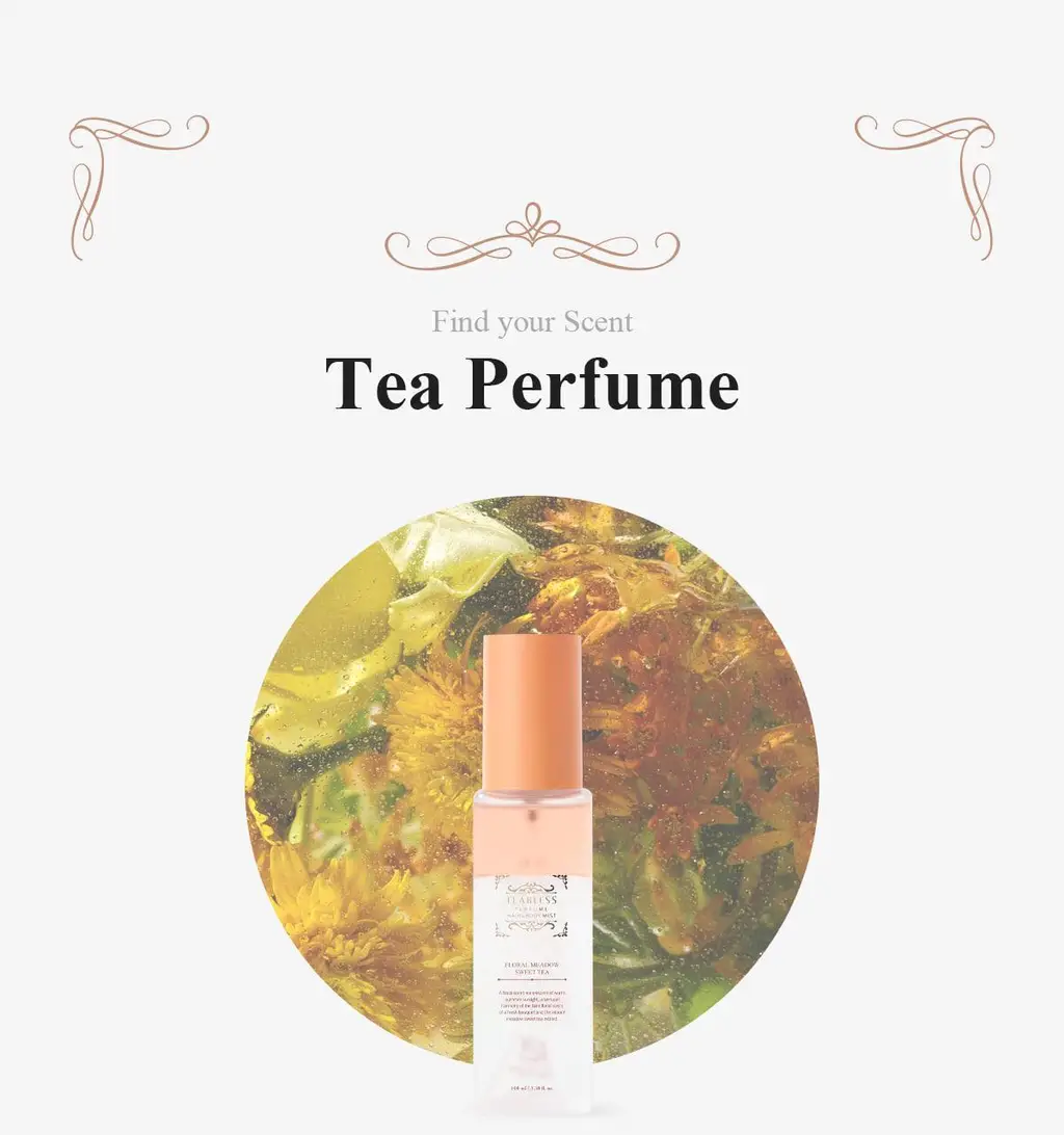 [NEW/24시간 지속] 티블레스 퍼퓸 헤어&바디미스트 100ml 3종 중 택 1 상세페이지 58